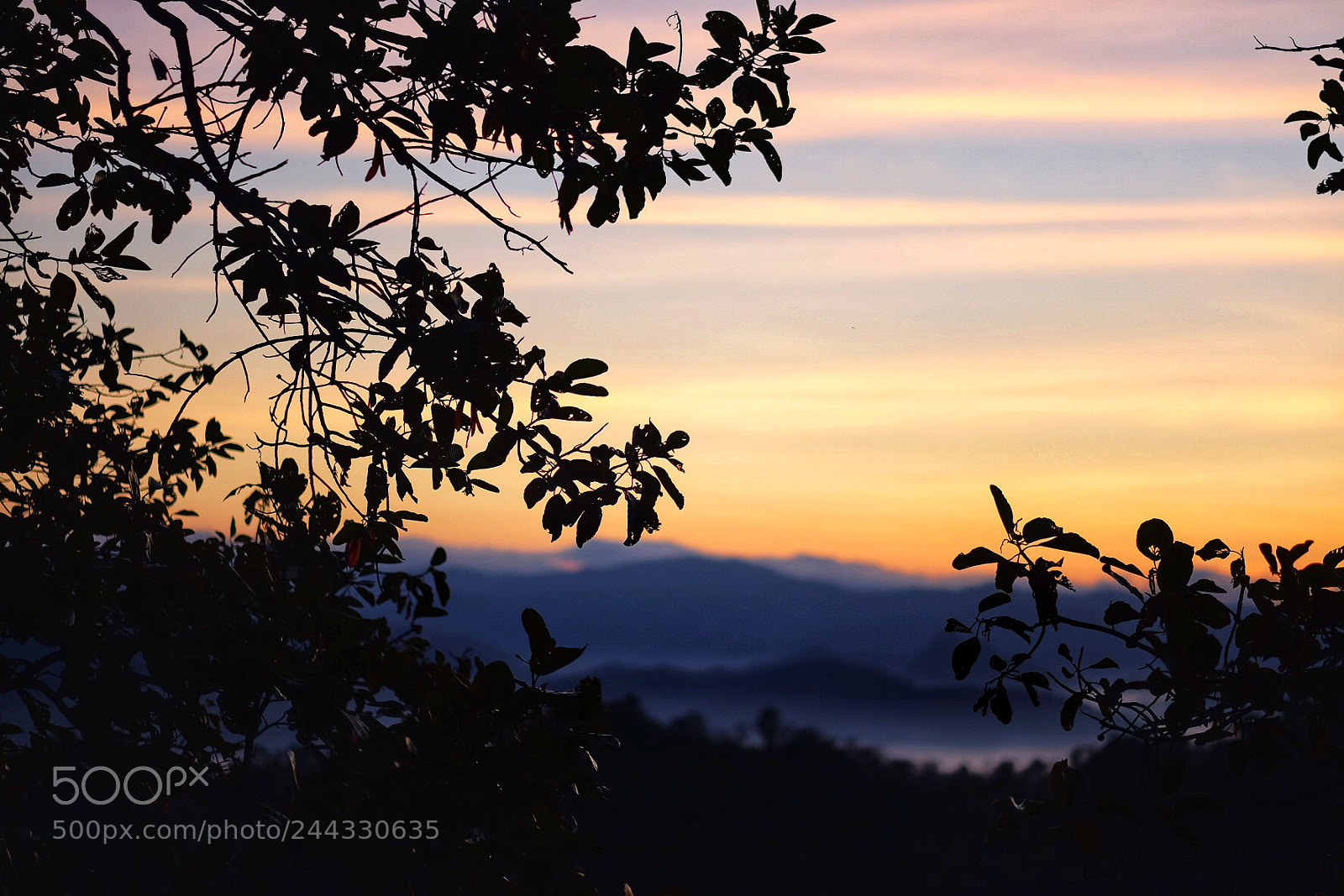 Fujifilm X-T1 sample photo. Doi fah ngam photography