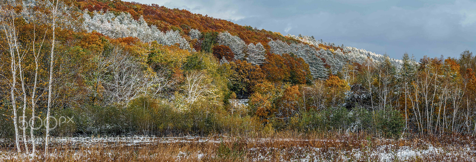 Olympus OM-D E-M5 II sample photo. The first snow in photography