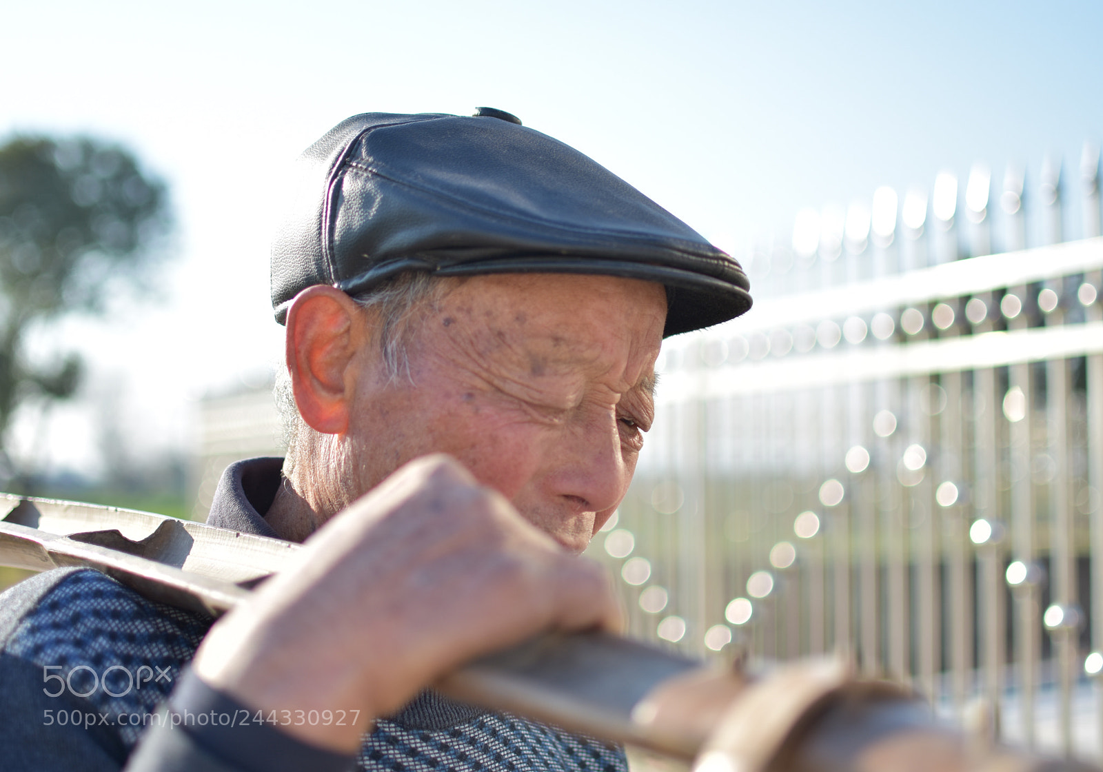 Nikon D7200 sample photo. Untitled photography