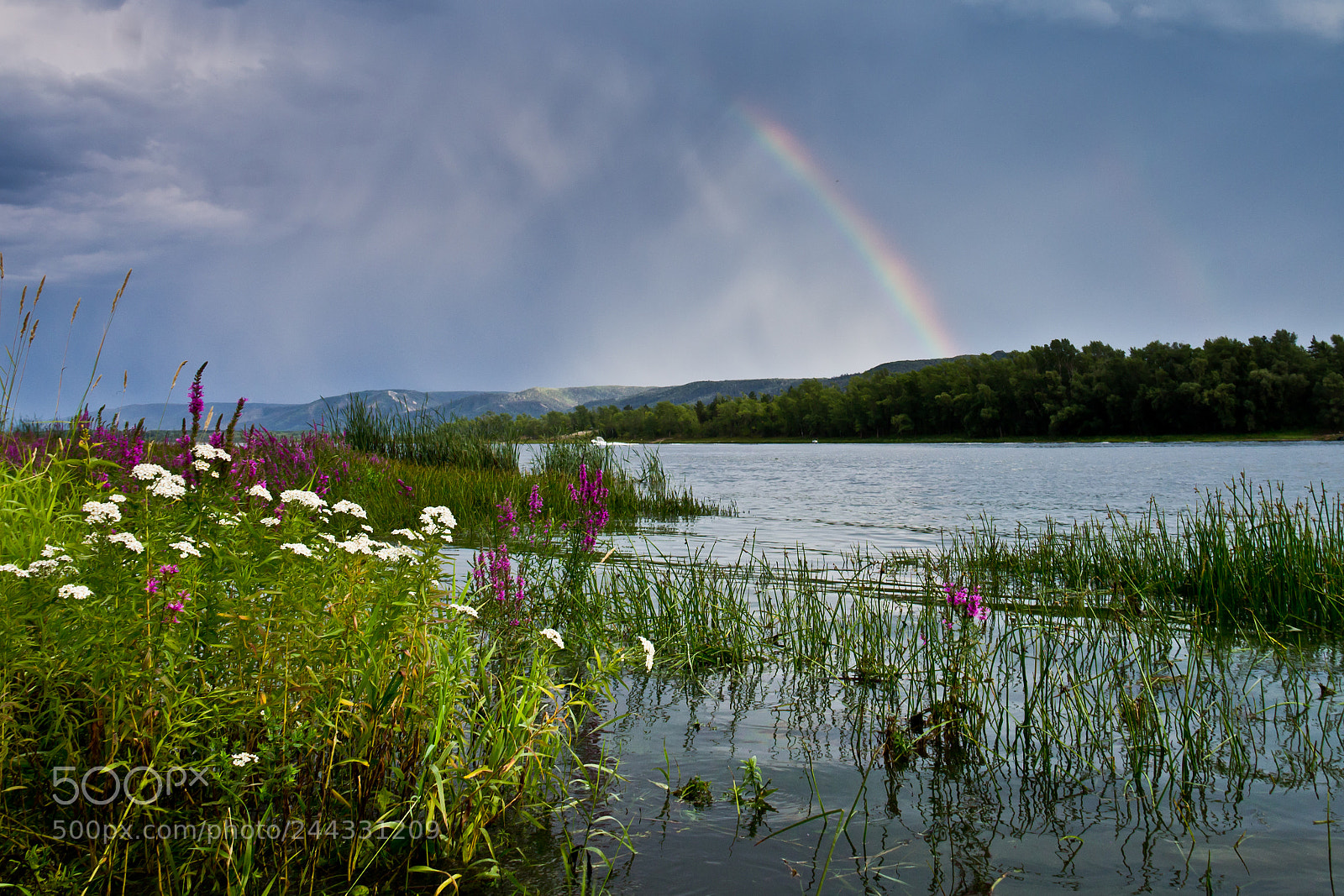 Canon EOS 1100D (EOS Rebel T3 / EOS Kiss X50) sample photo. Rainbow after the rain photography