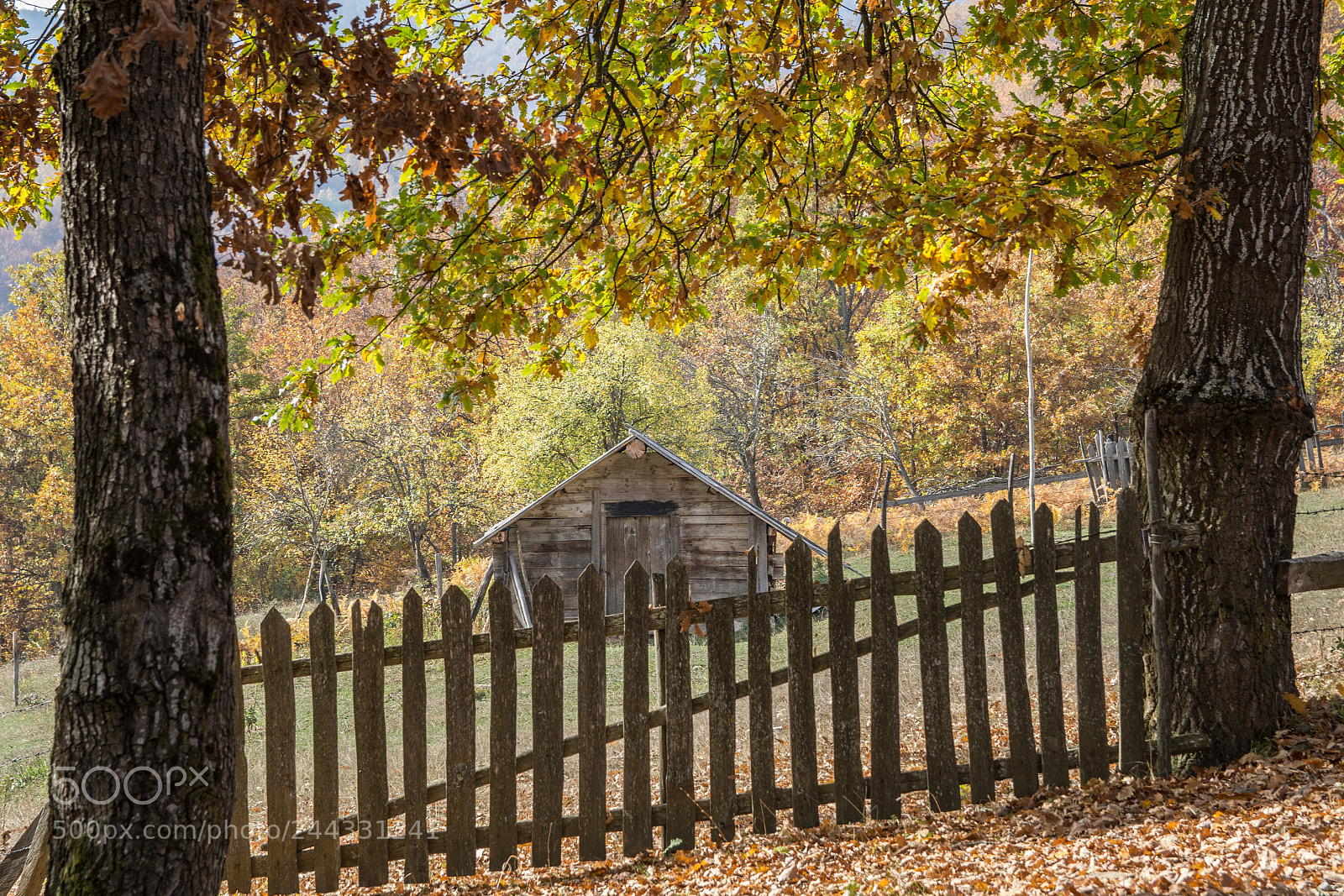 Nikon D7200 sample photo. Old wooden house in photography