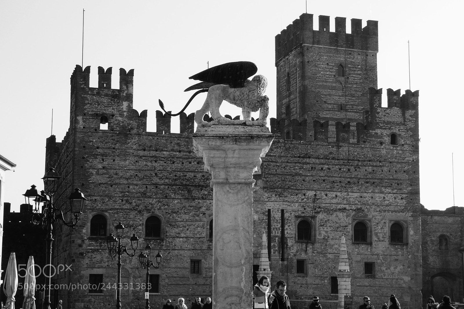 Panasonic Lumix DC-FZ80 (Lumix DC-FZ82) sample photo. Castle and lion photography
