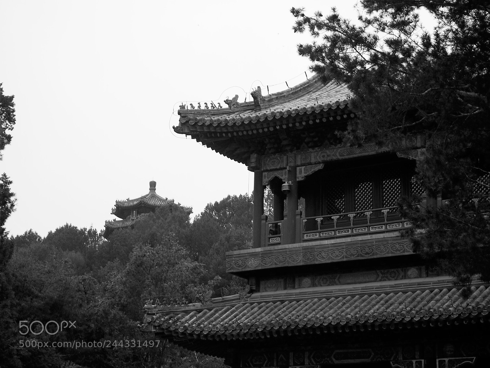 Olympus PEN E-PL3 sample photo. China in b&w. photography
