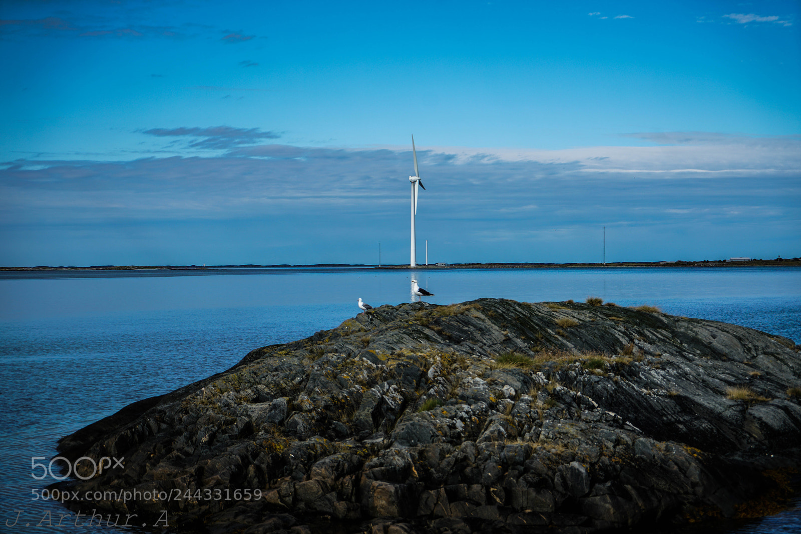 Sony a7R II sample photo. Seagal and windmill photography