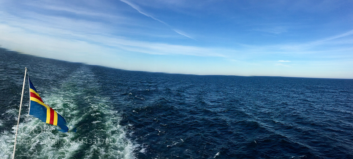 Apple iPhone 6 sample photo. World in motion #iii photography