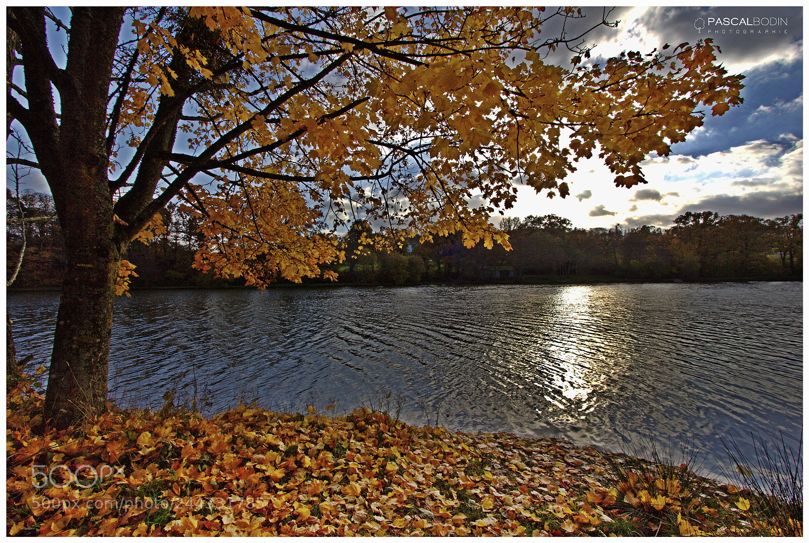 Canon EOS 60D sample photo. Rouille d'autumn photography
