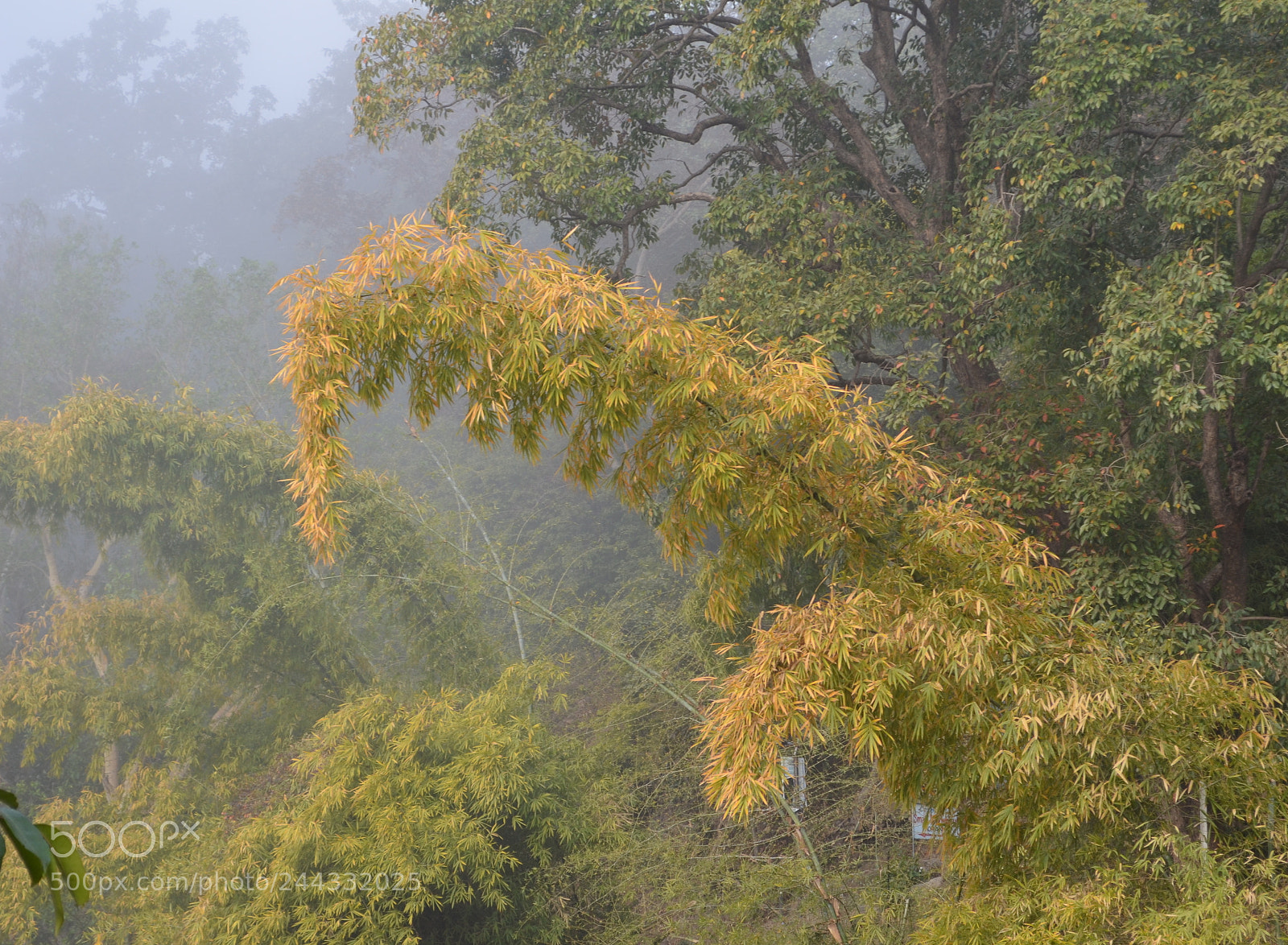 Nikon D5100 sample photo. Fresh start photography