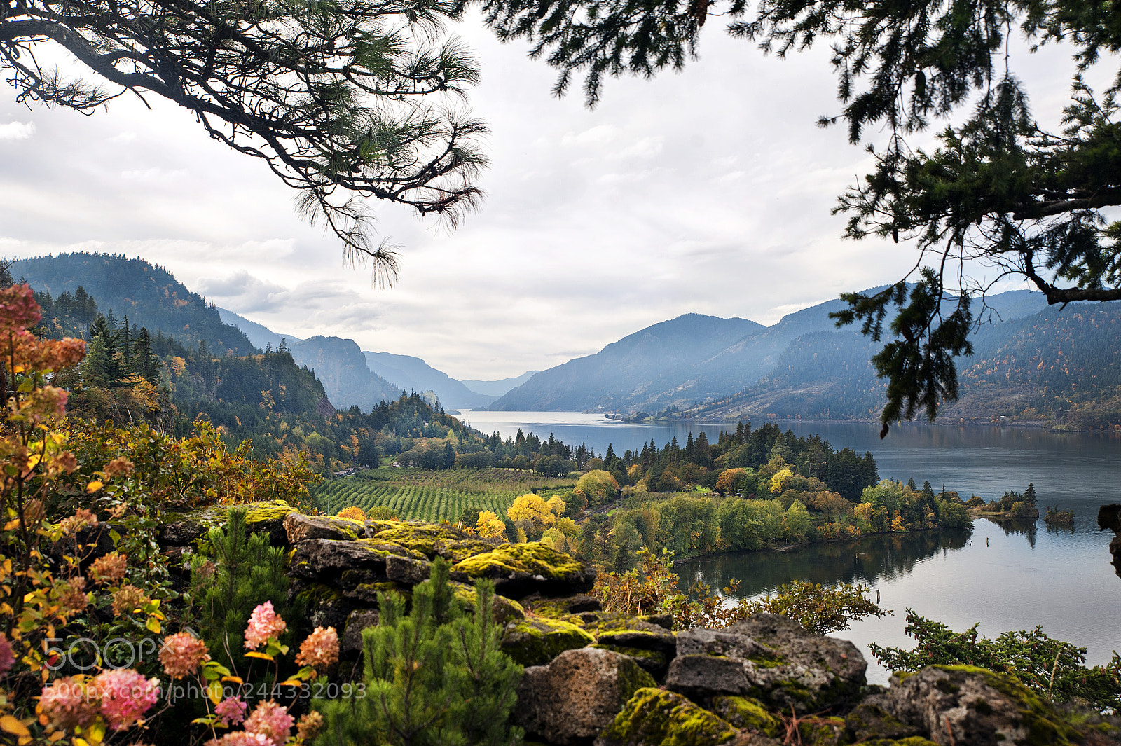 Nikon D700 sample photo. Colors of the gorge photography