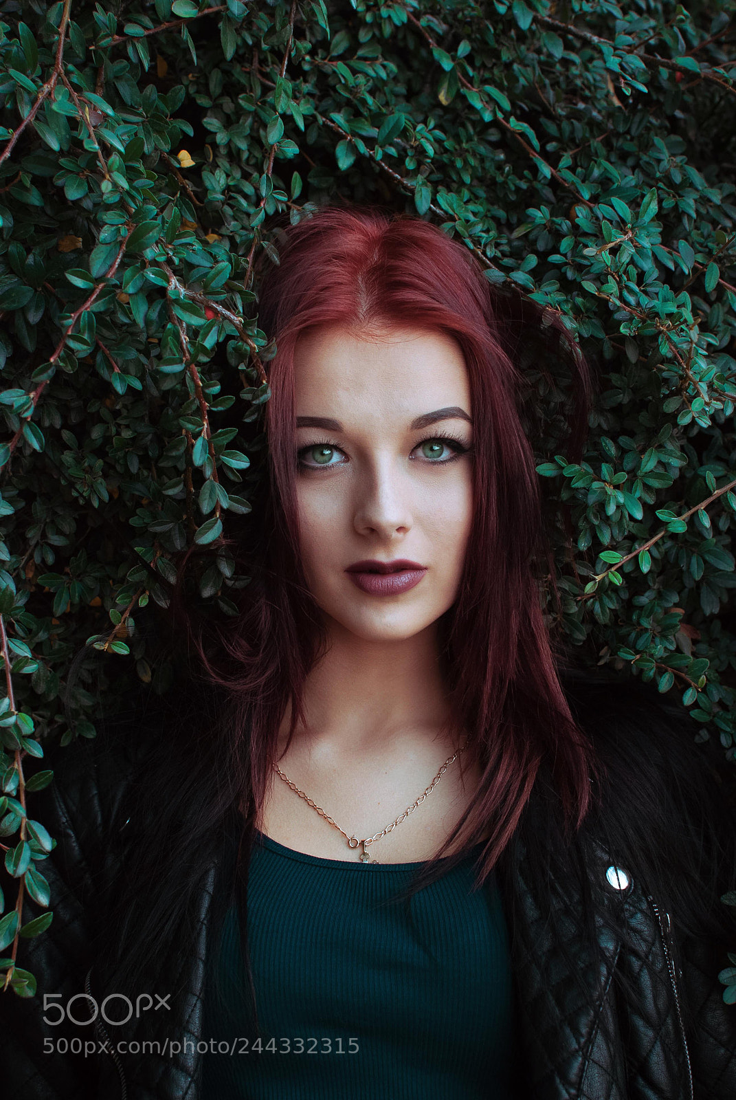 Nikon D80 sample photo. Walery photography