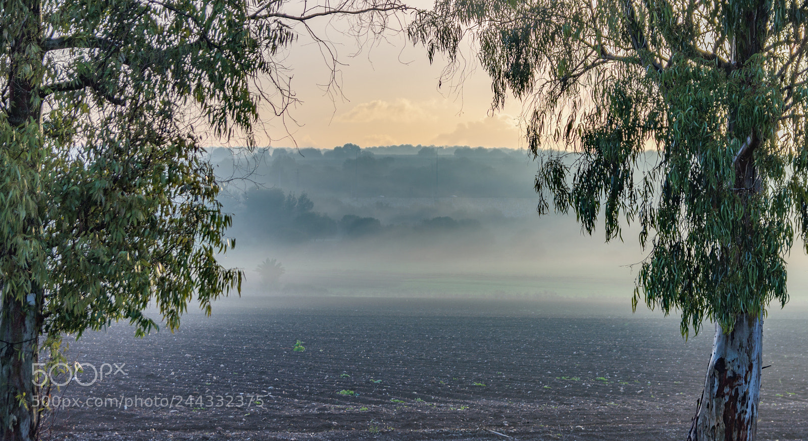Nikon D7200 sample photo. Fog and hills photography