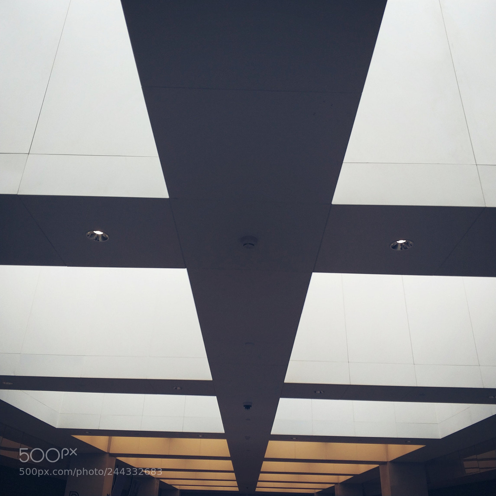 Xiaomi MI6 sample photo. Untitled photography