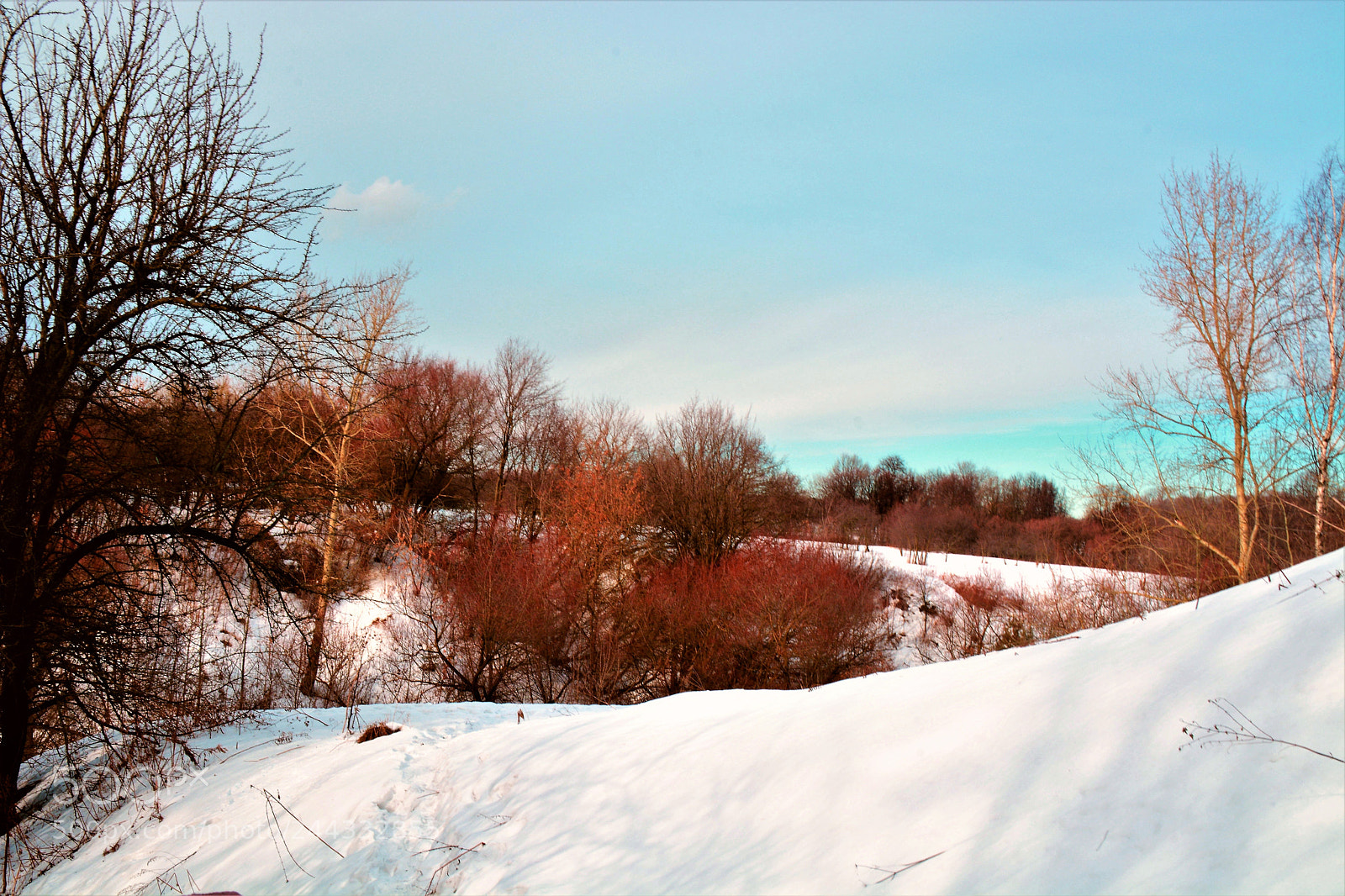 Nikon D7100 sample photo. Winter photography