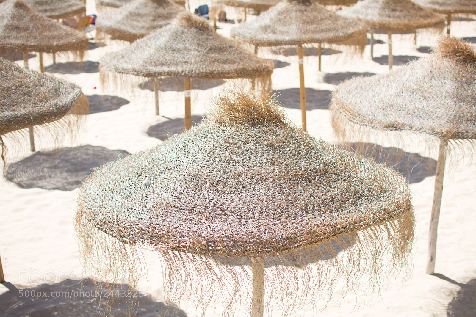 Nikon D7100 sample photo. The ocean photography