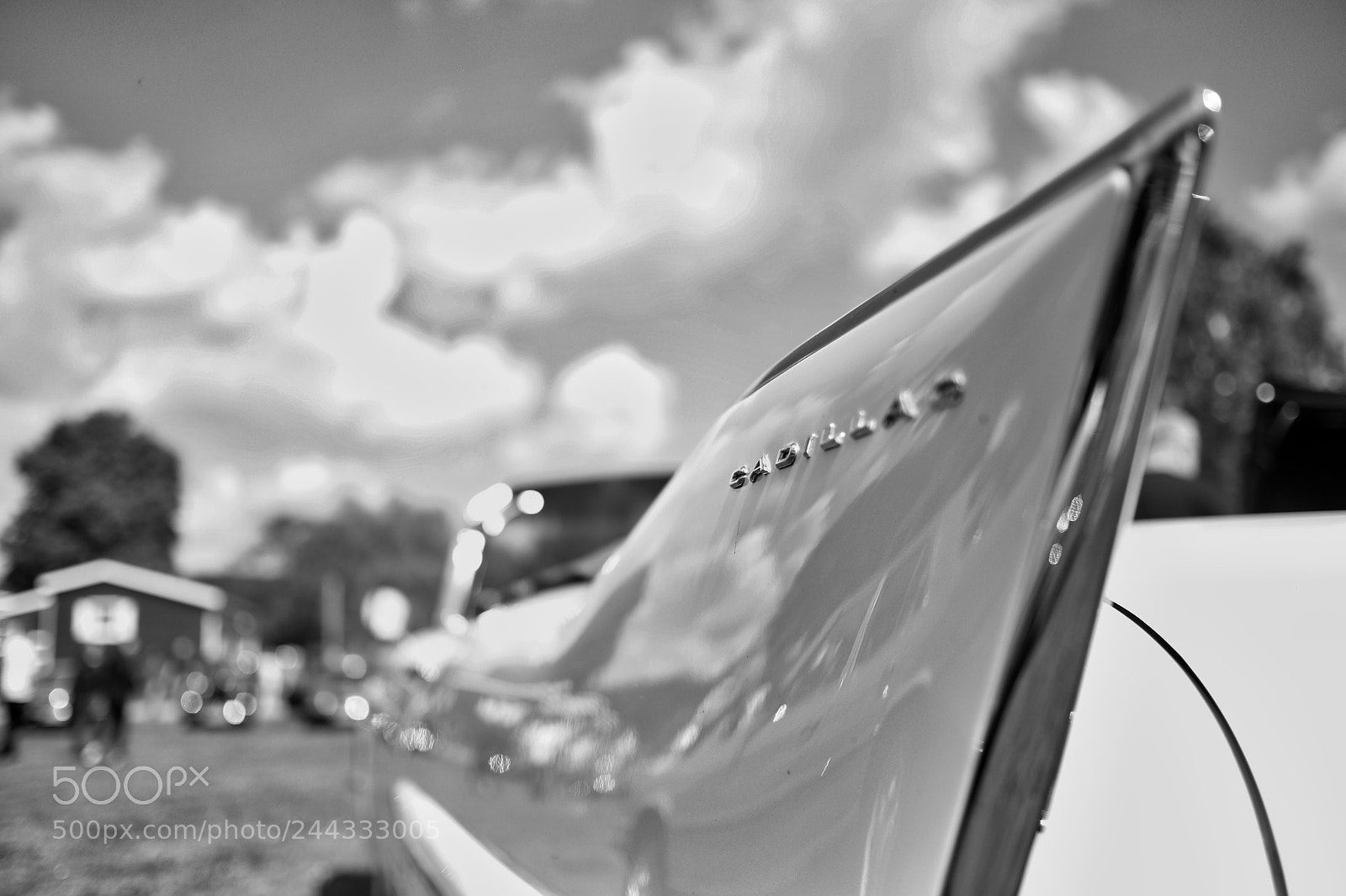 Fujifilm X-E2 sample photo. Wings photography