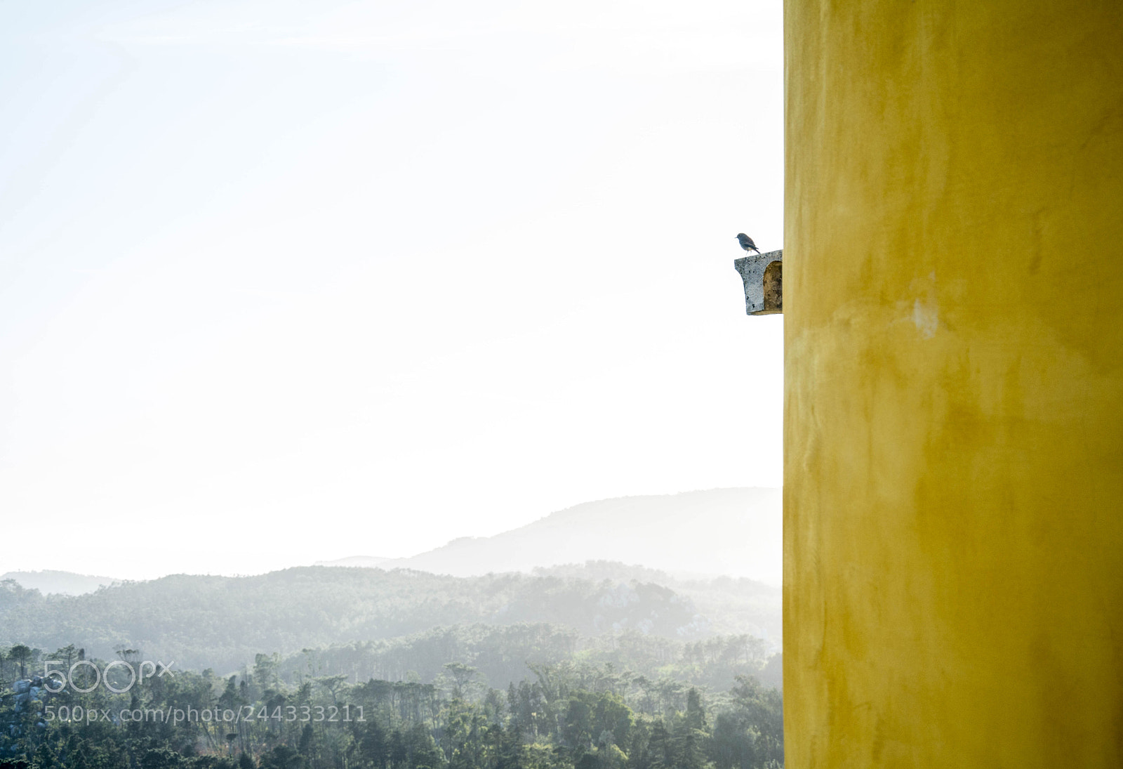 Nikon D7100 sample photo. Pena palace photography