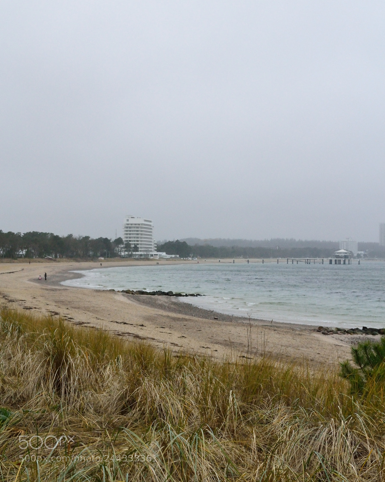 Nikon D3100 sample photo. Near empty photography