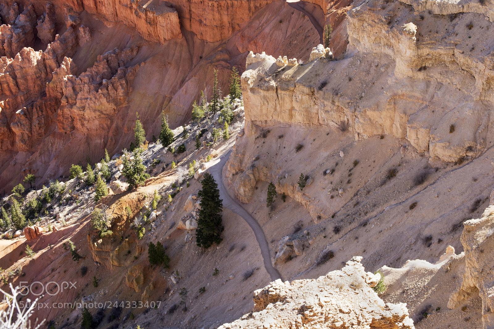 Nikon D600 sample photo. Winding through (1) photography
