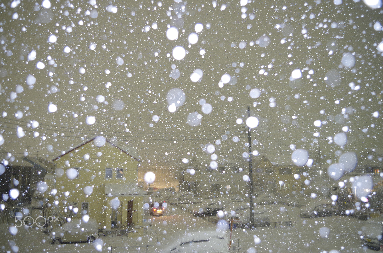 Pentax K-30 sample photo. Snow falls in the night photography