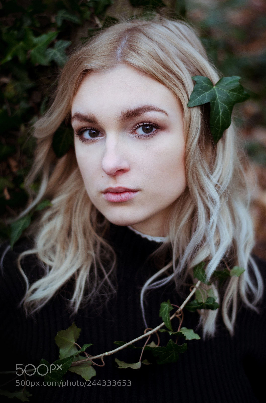 Nikon D5100 sample photo. Ivy photography