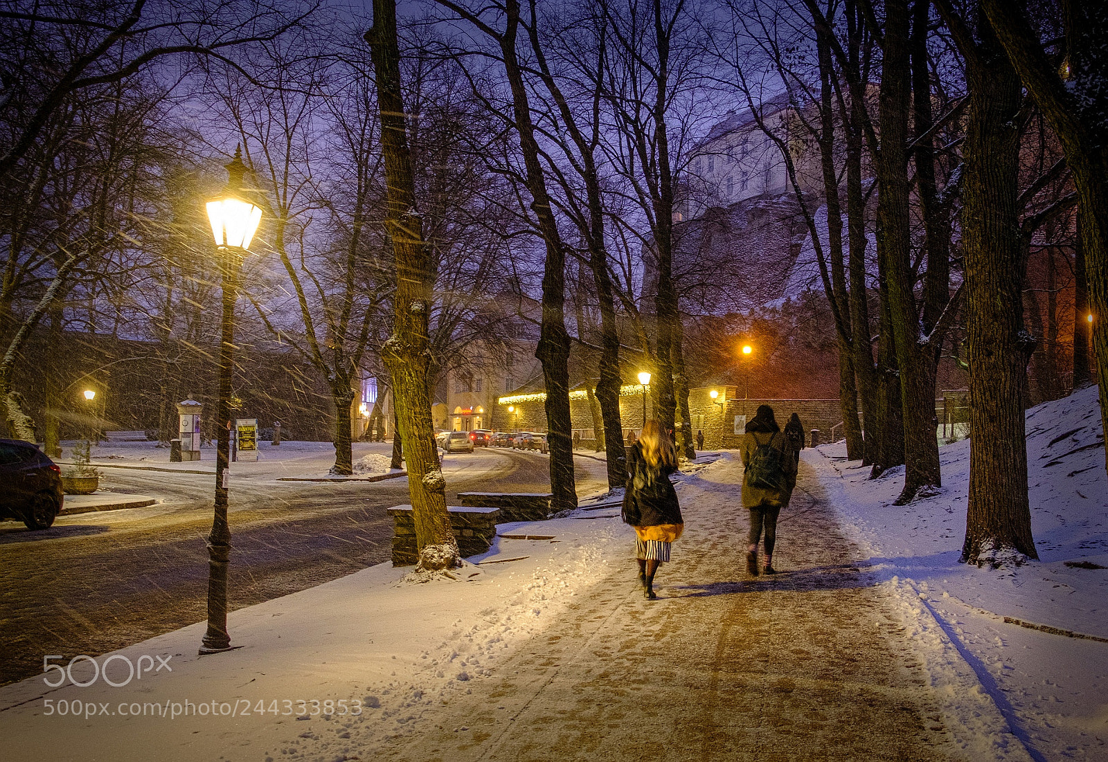 Fujifilm X-T20 sample photo. Morning blizzard photography