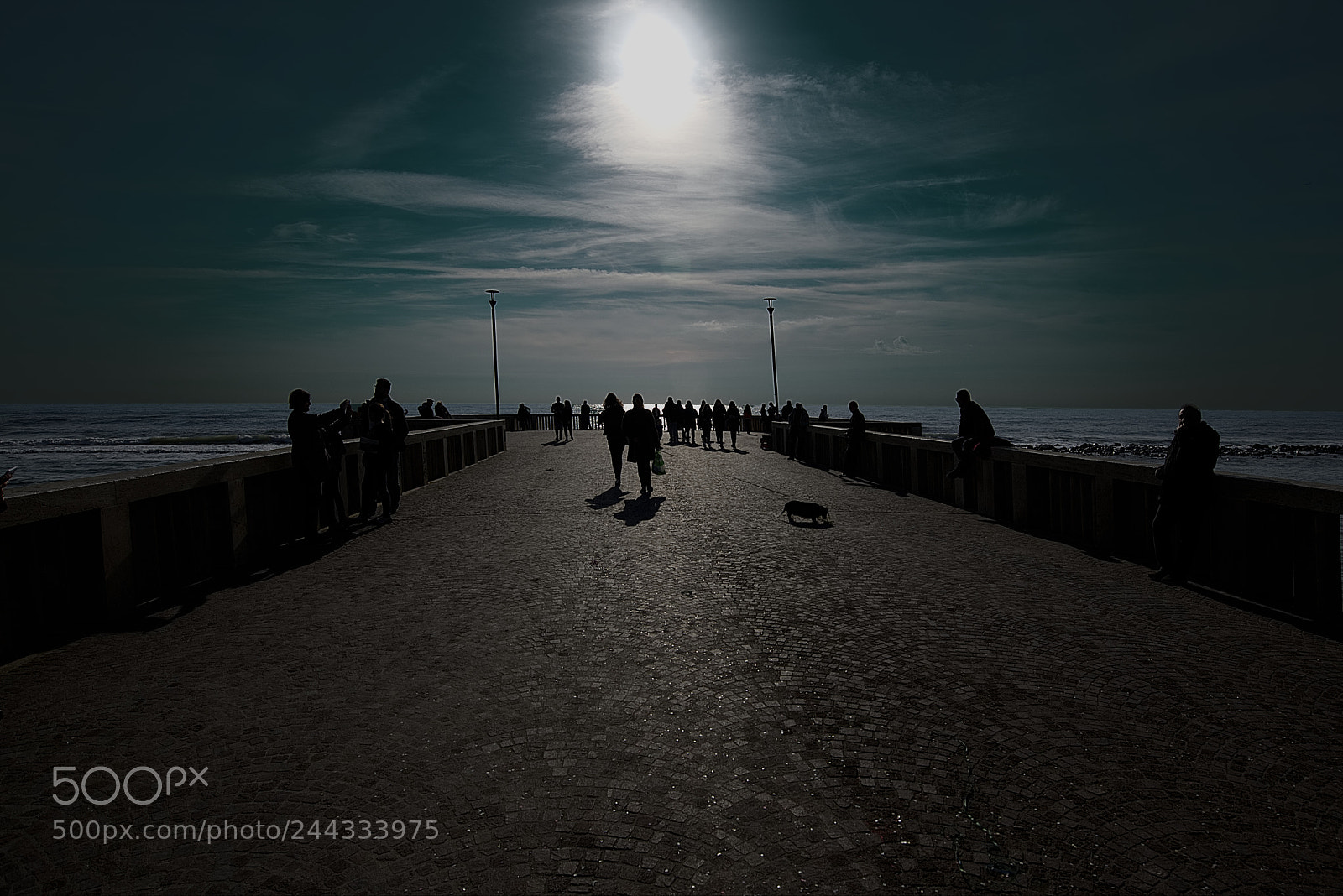Nikon D600 sample photo. By the sea in photography