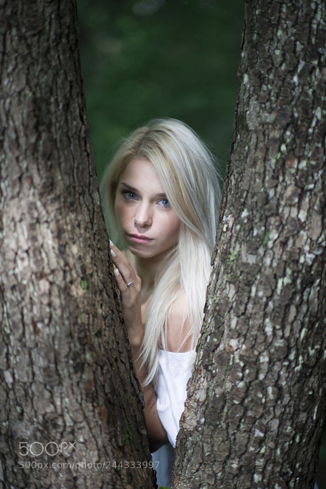 Nikon D800E sample photo. Looking in the middle. photography