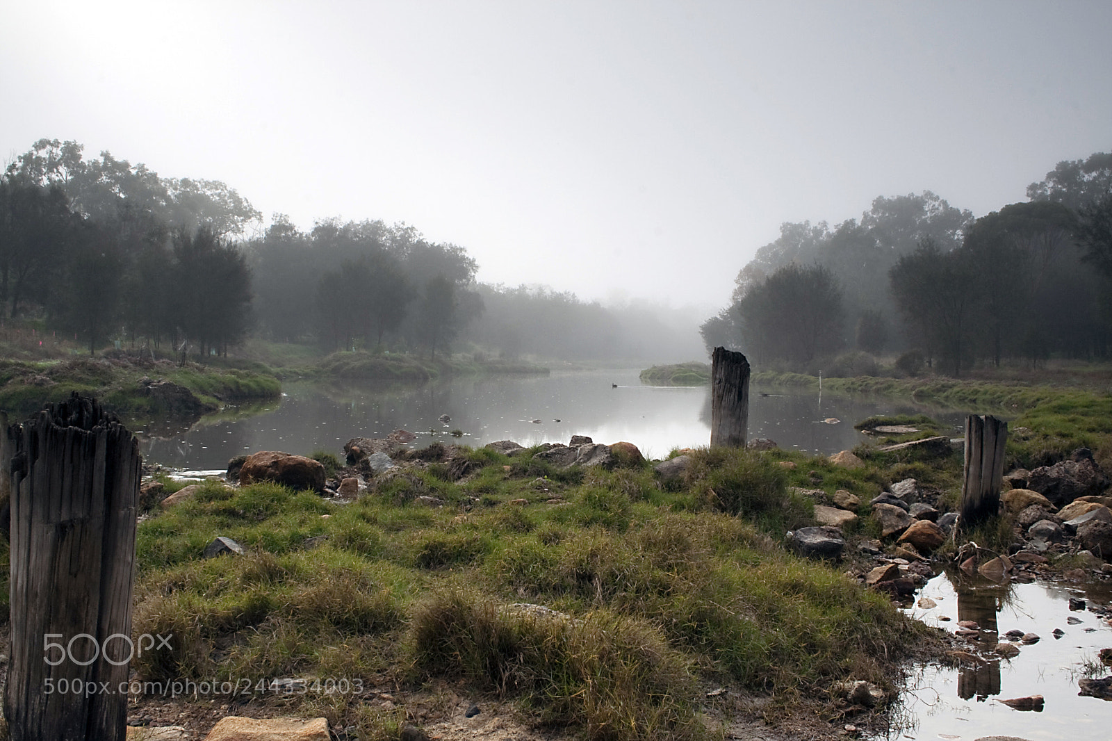 Canon EOS 350D (EOS Digital Rebel XT / EOS Kiss Digital N) sample photo. Misty river photography