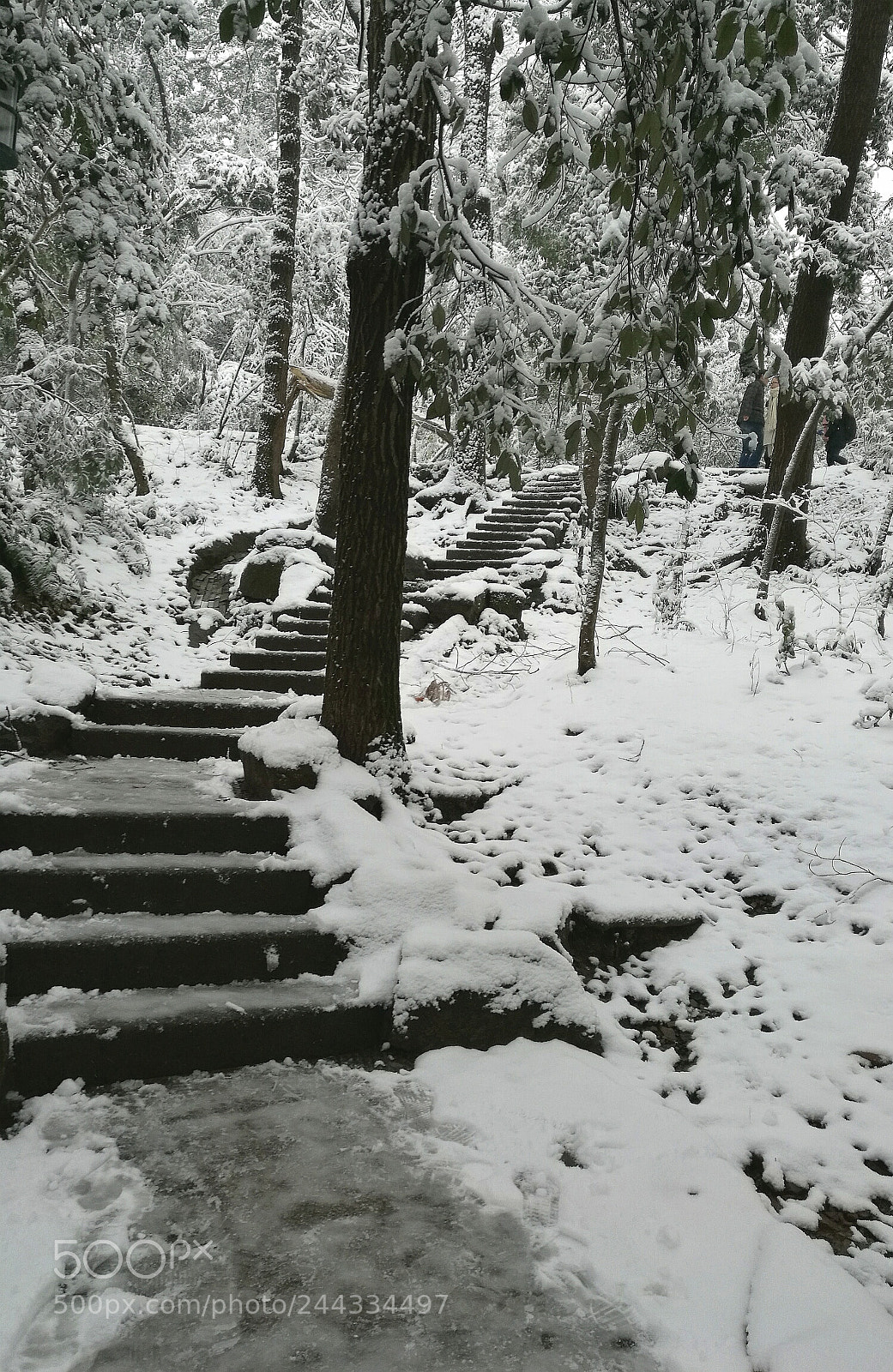 HUAWEI Mate 8 sample photo. Glamour of snow in photography