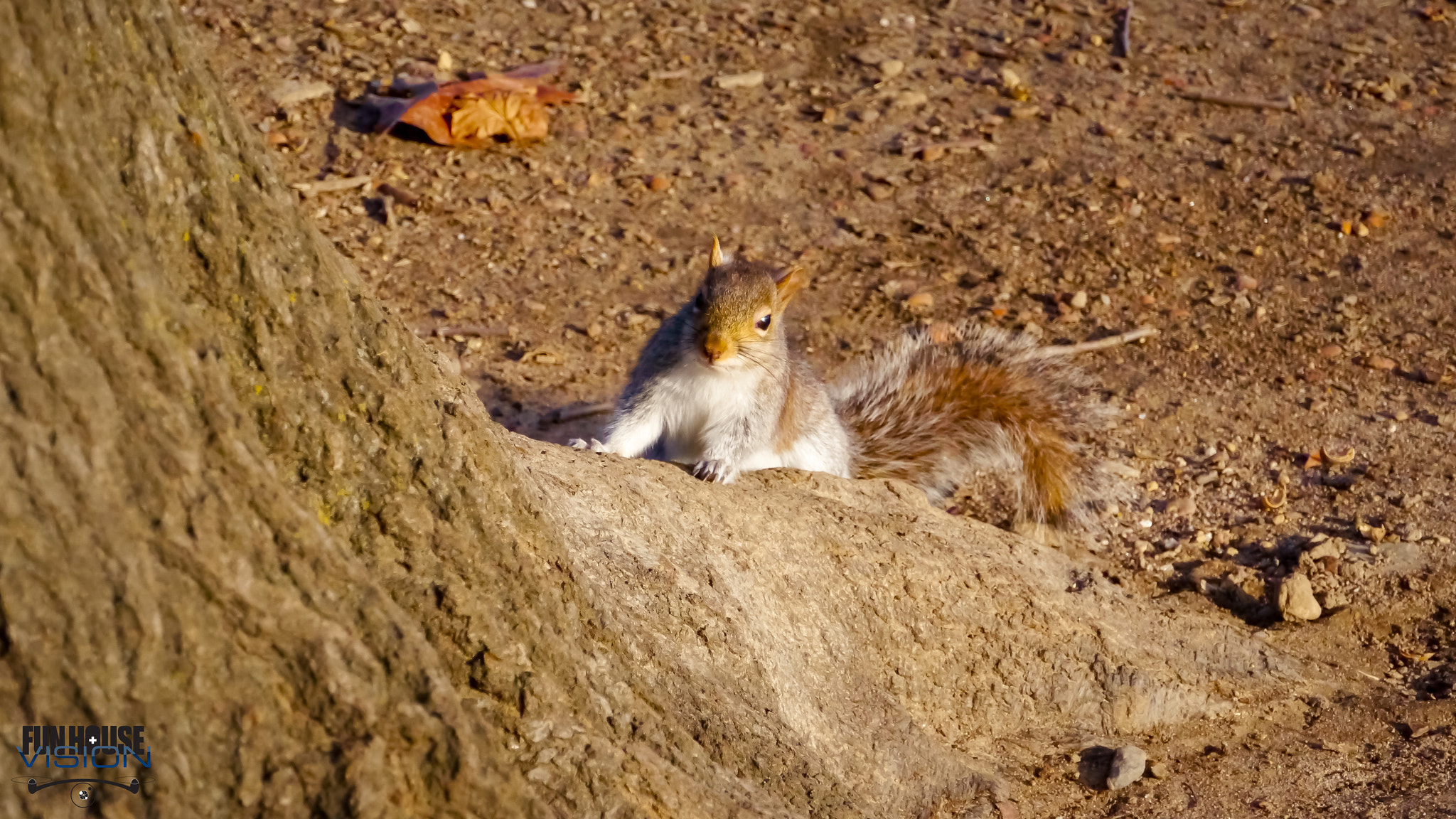 Panasonic Lumix DMC-GH2 sample photo. Un hiver à central park e3 photography