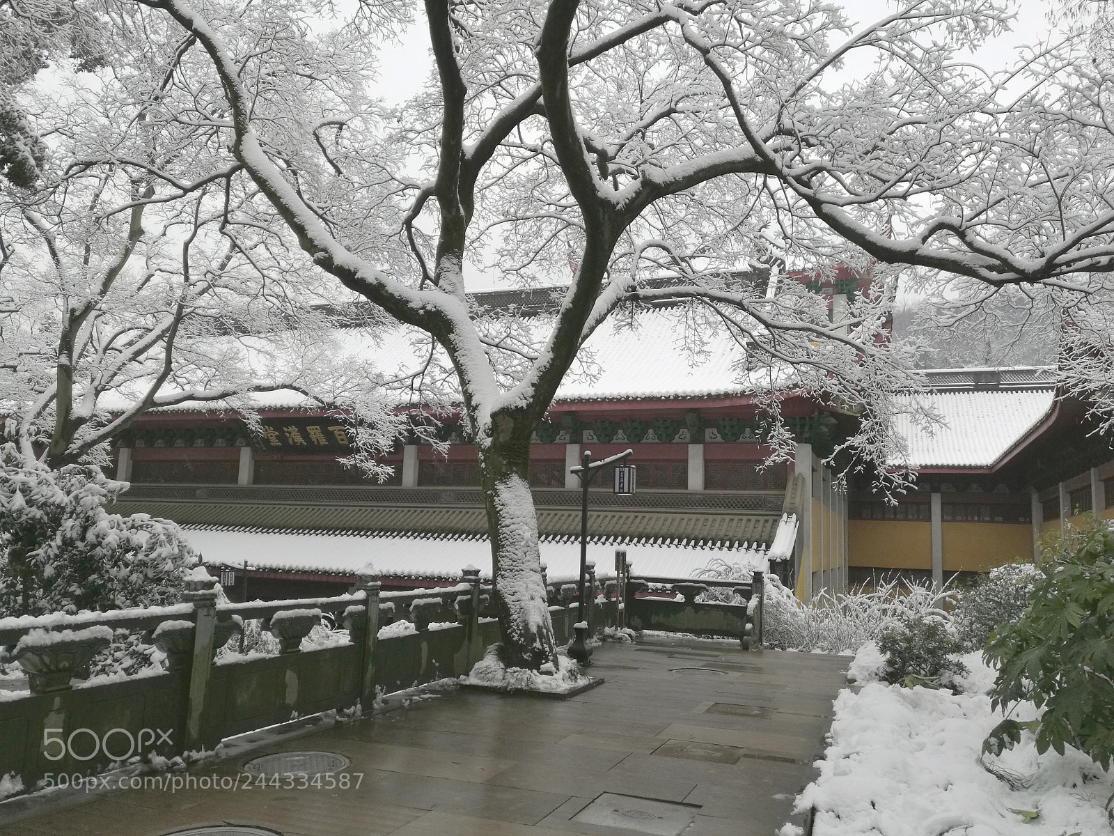 HUAWEI Mate 8 sample photo. Glamour of snow in photography