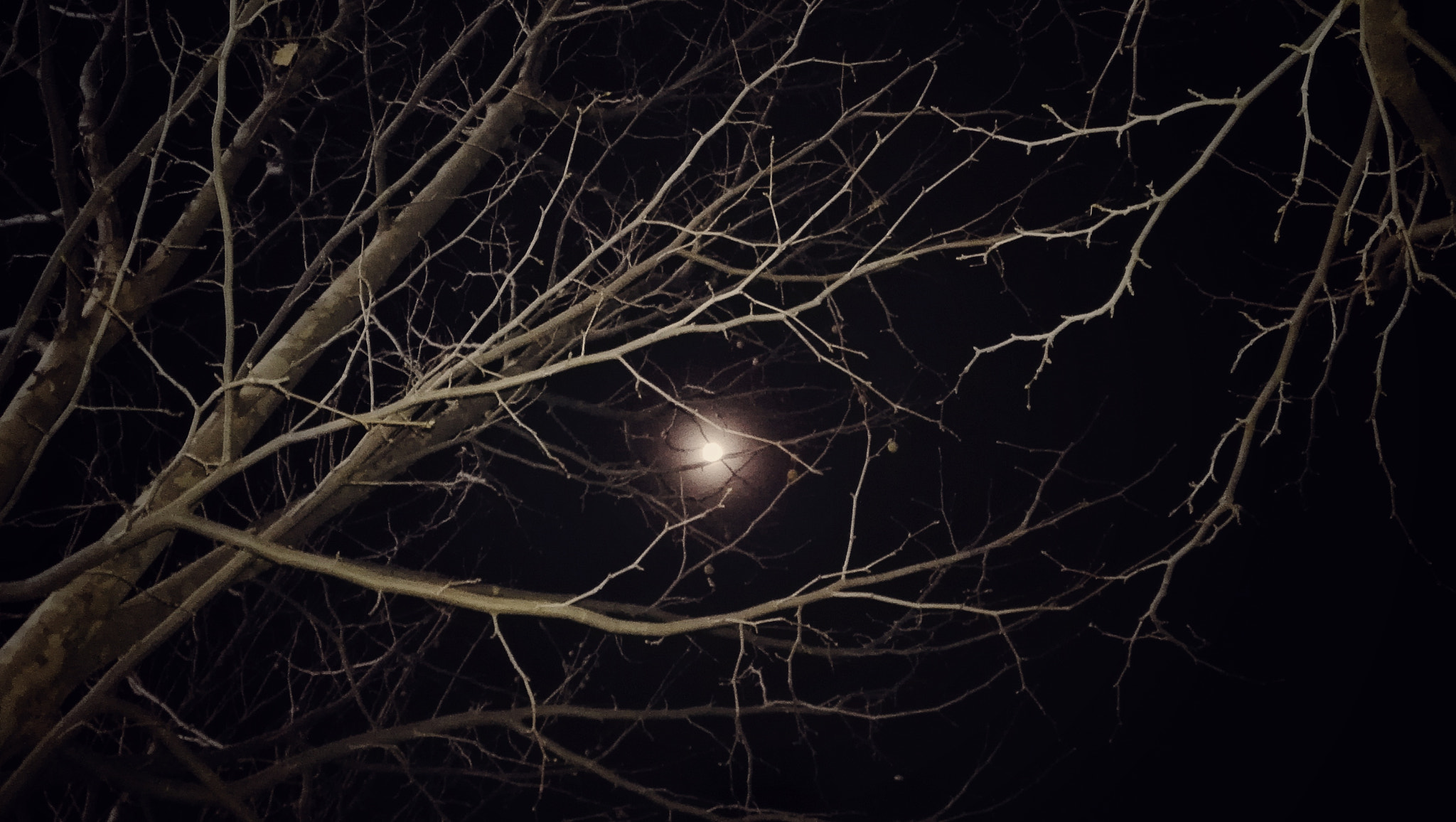 HUAWEI Mate 7 sample photo. 寒夜 photography