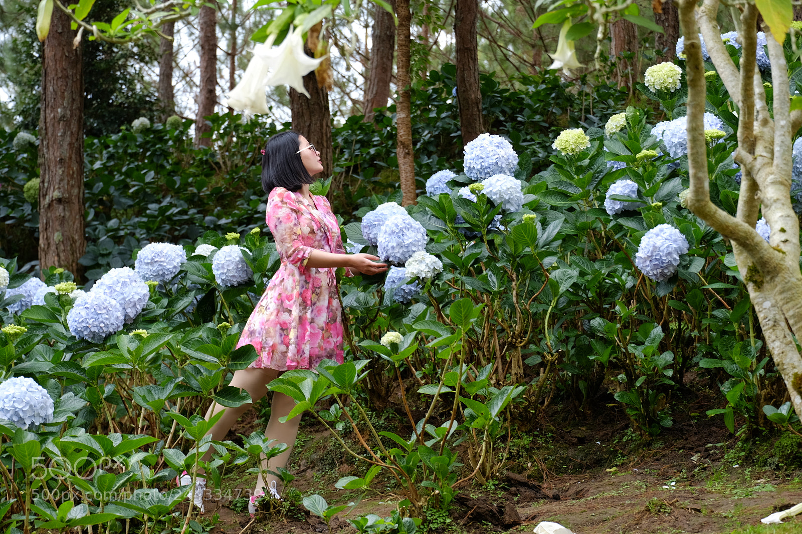 Fujifilm X-T10 sample photo. ảo mộng photography