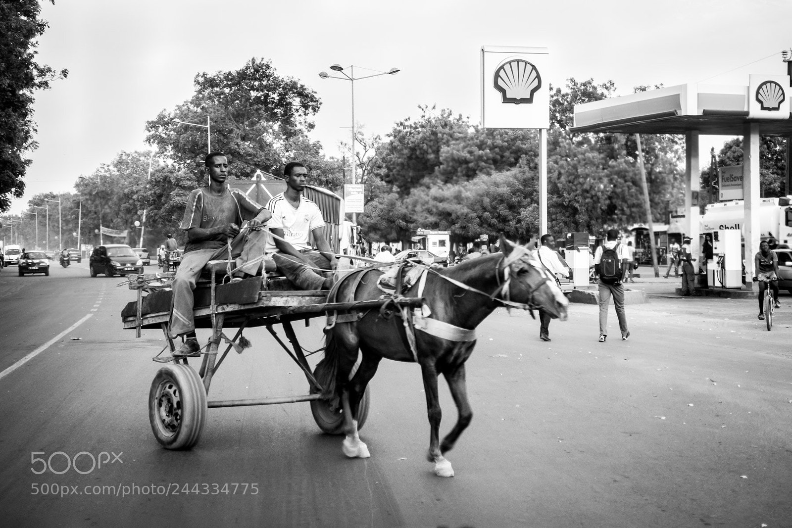 Sony Cyber-shot DSC-RX100 IV sample photo. Oat or gas oil photography