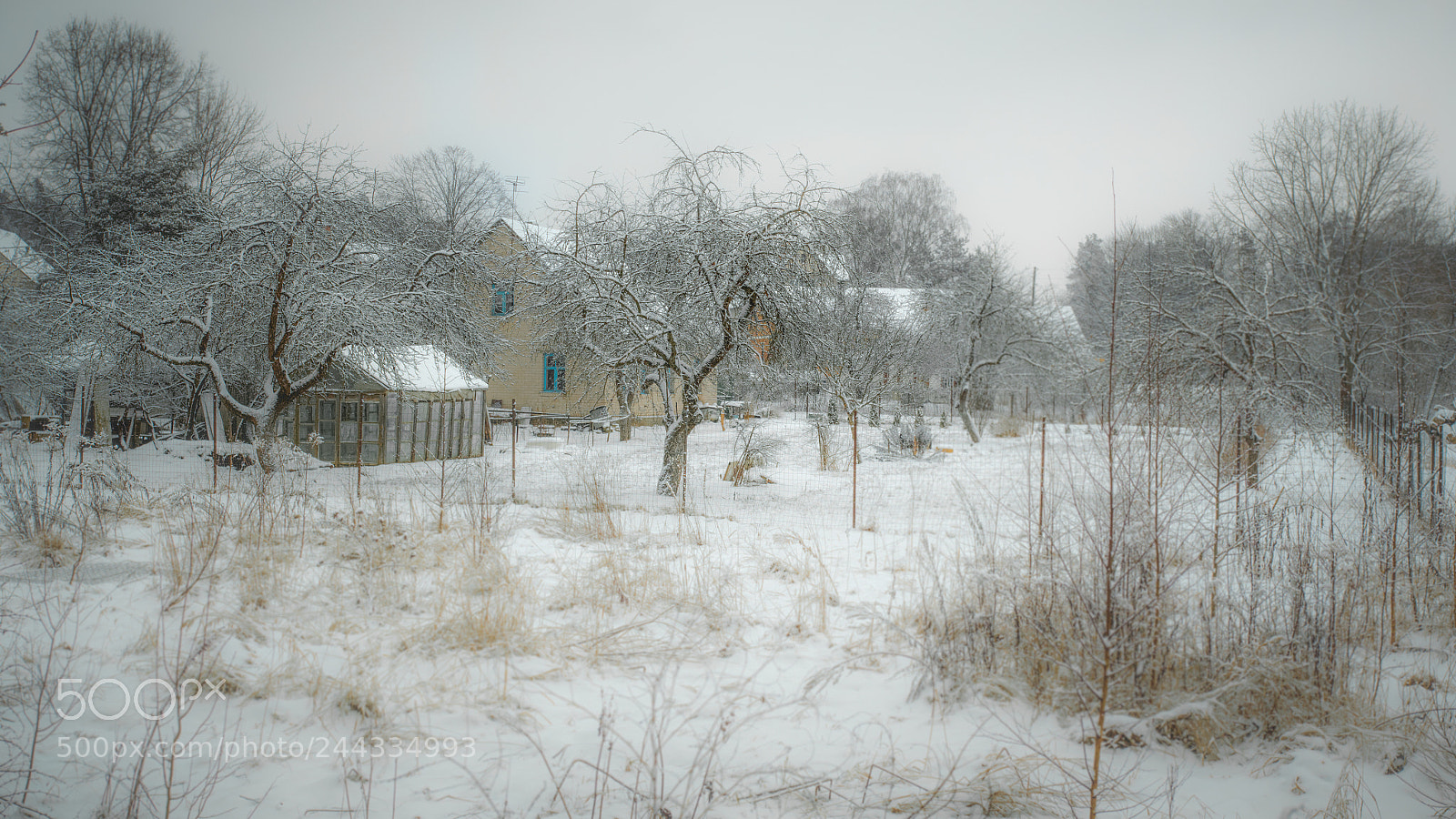 Sigma DP2 Merrill sample photo. Winter haus photography