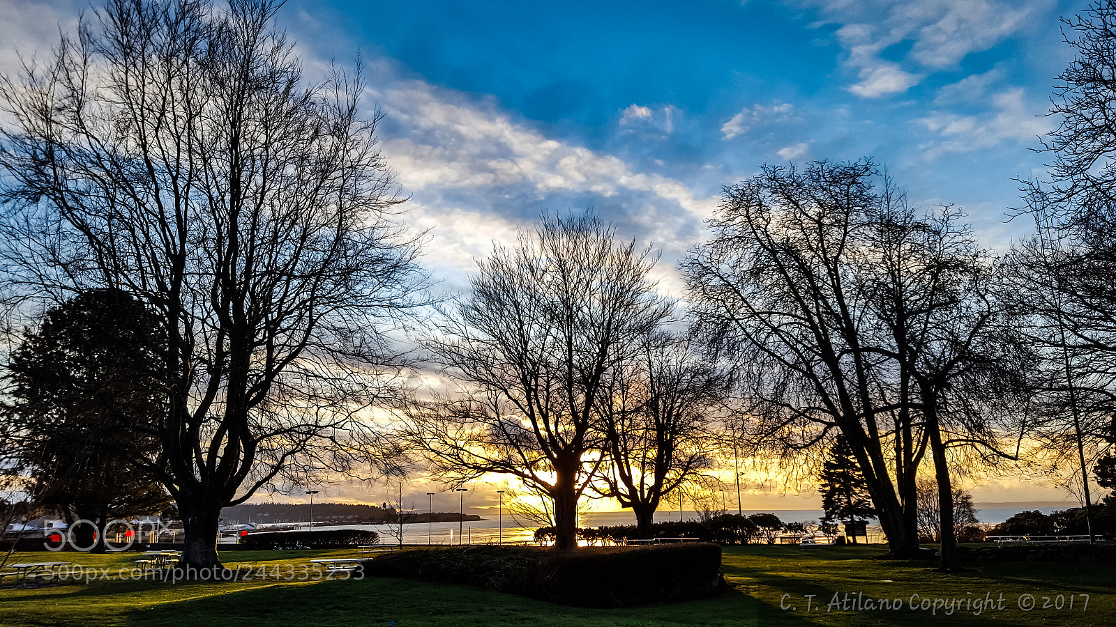 Samsung GALAXY S6 edge sample photo. Peace arch park photography
