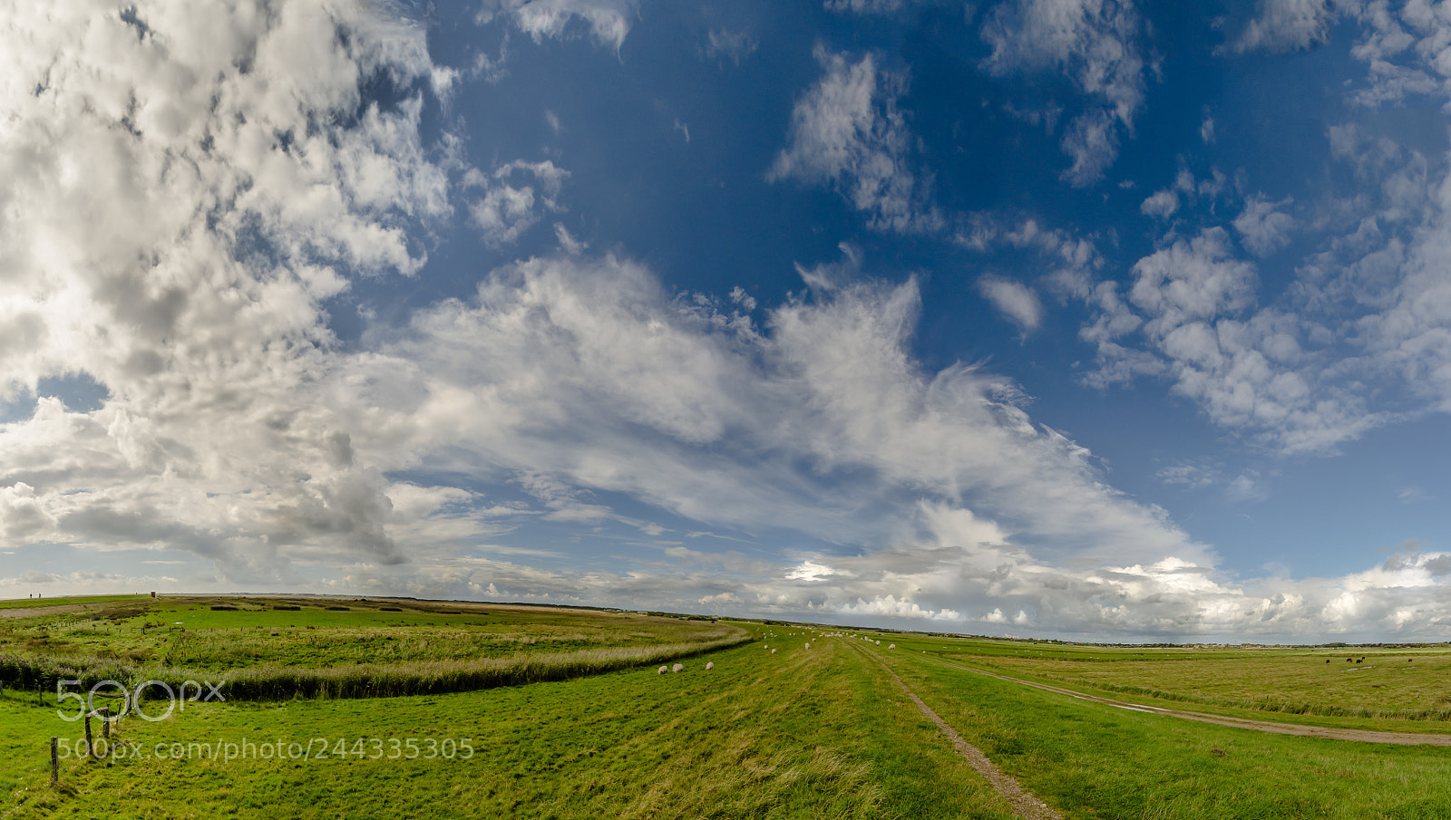 Nikon D5100 sample photo. Cloud train photography