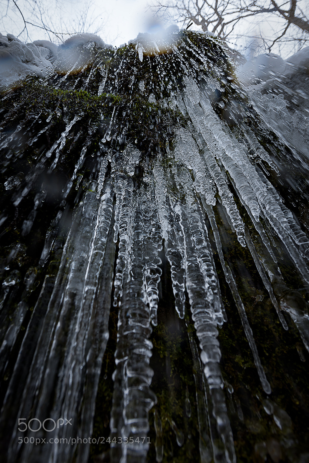Nikon D810 sample photo. Frozen moment photography