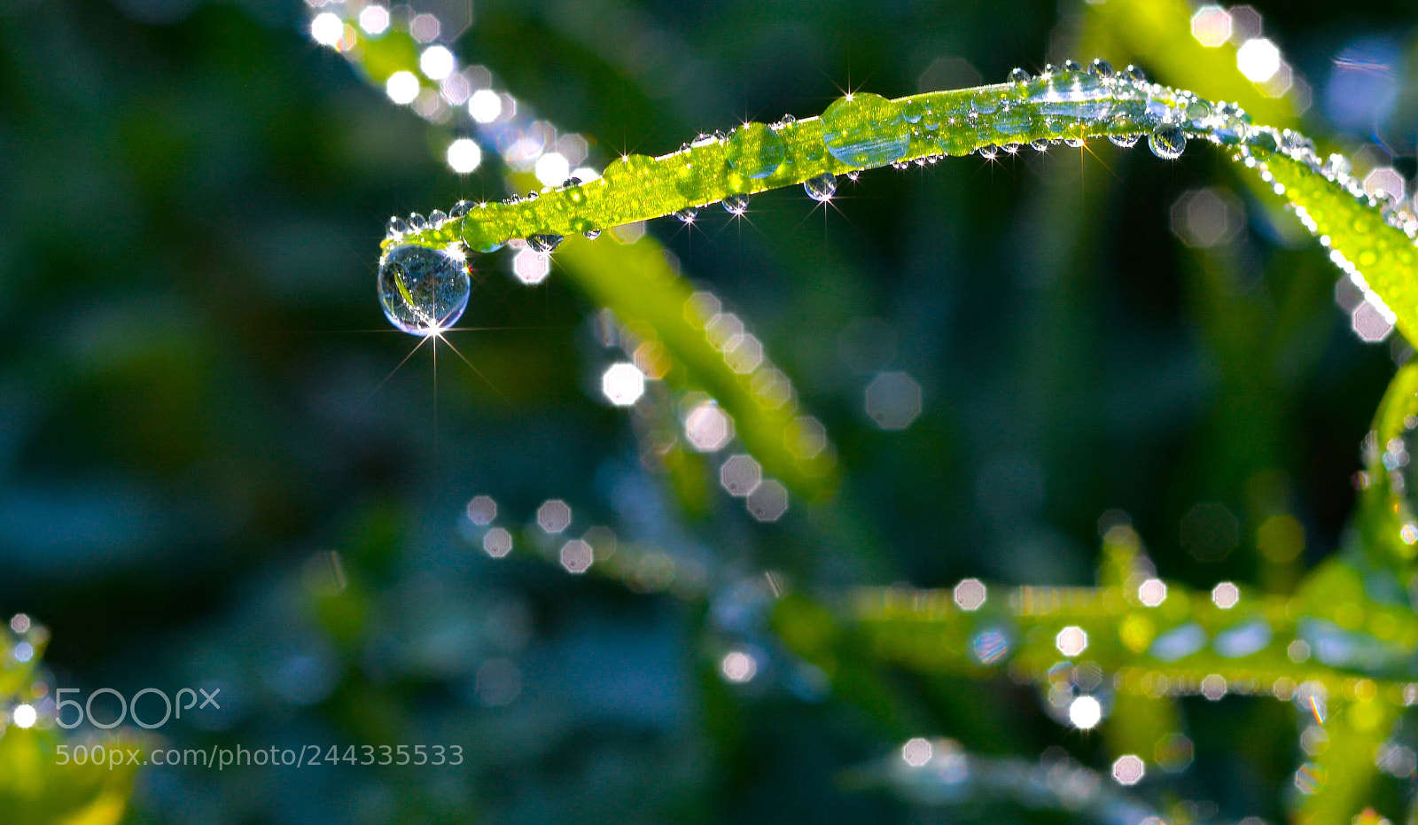 Nikon D610 sample photo. El universo photography