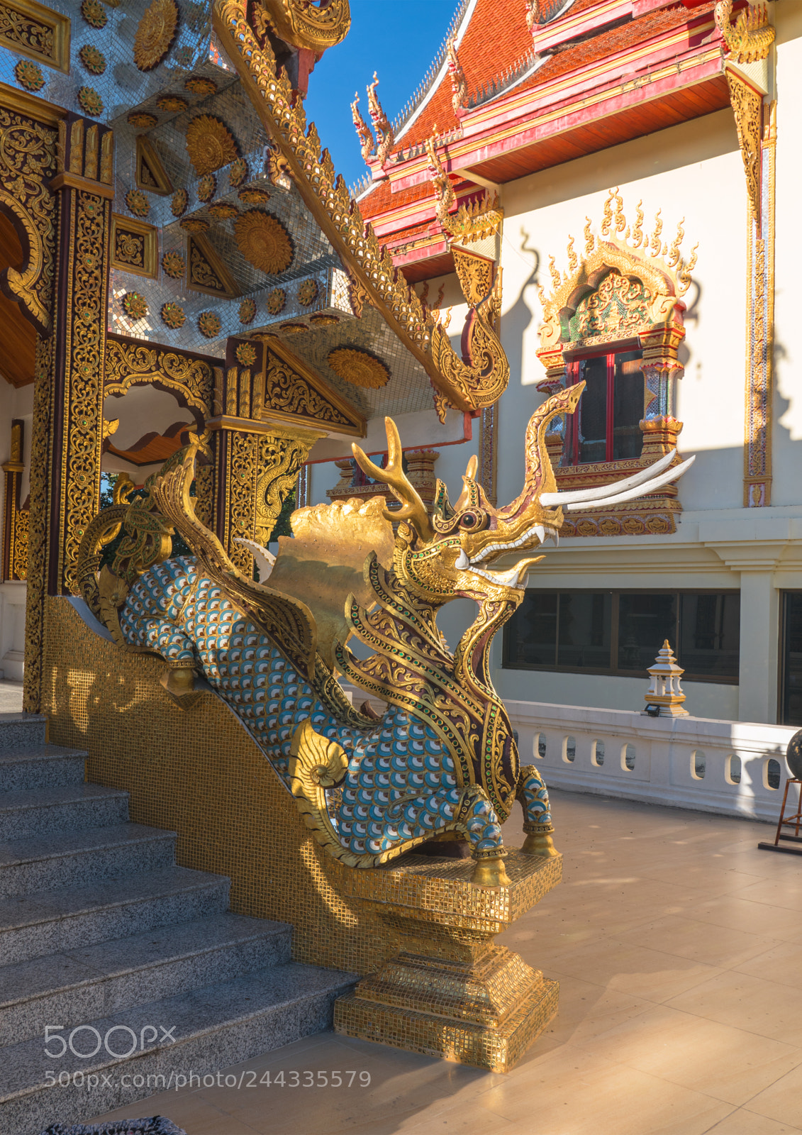 Sony a7R III sample photo. Drôle de dragon photography