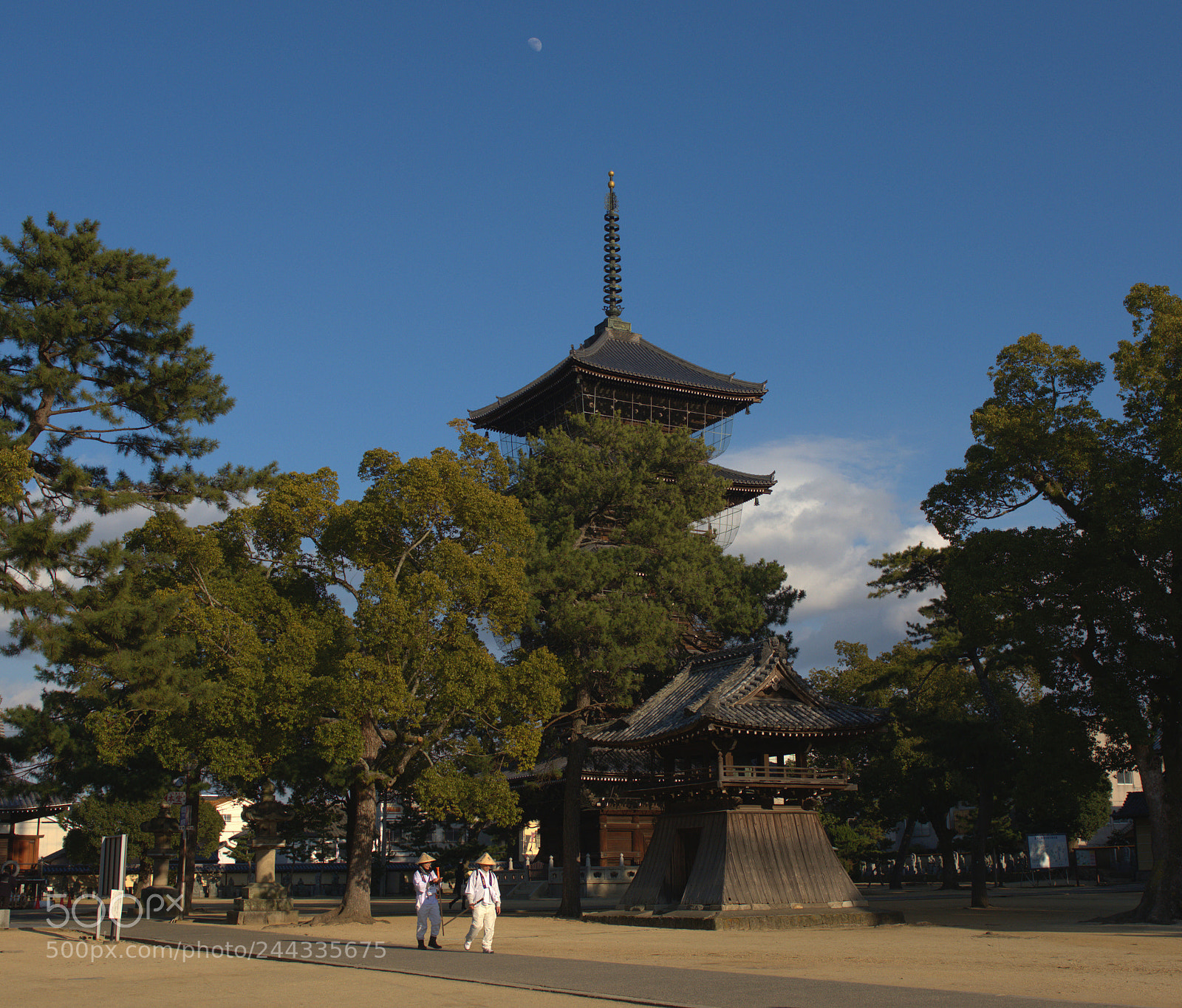 Nikon D800 sample photo. Not just praying in photography