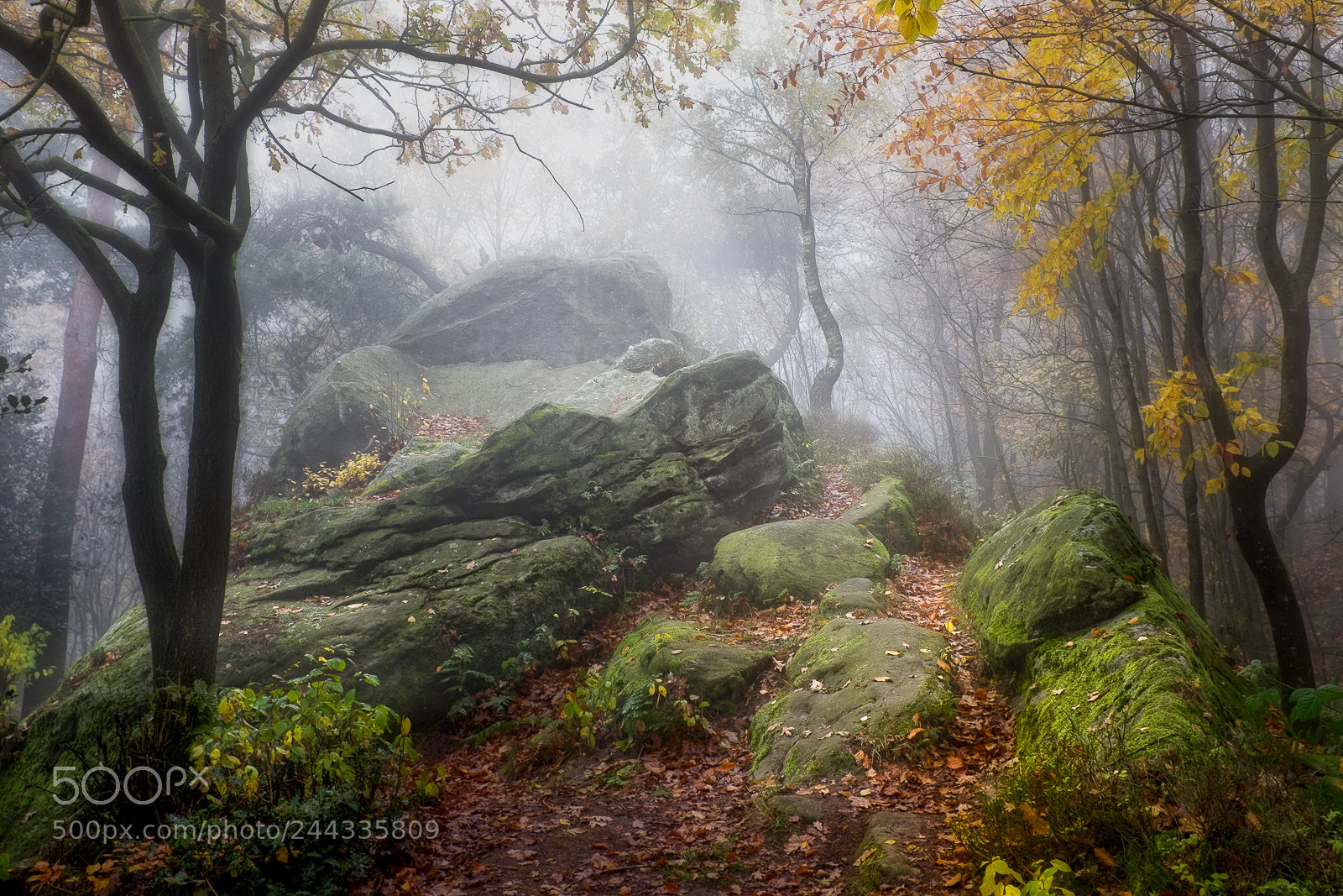 Fujifilm X100S sample photo. Misty rocks photography