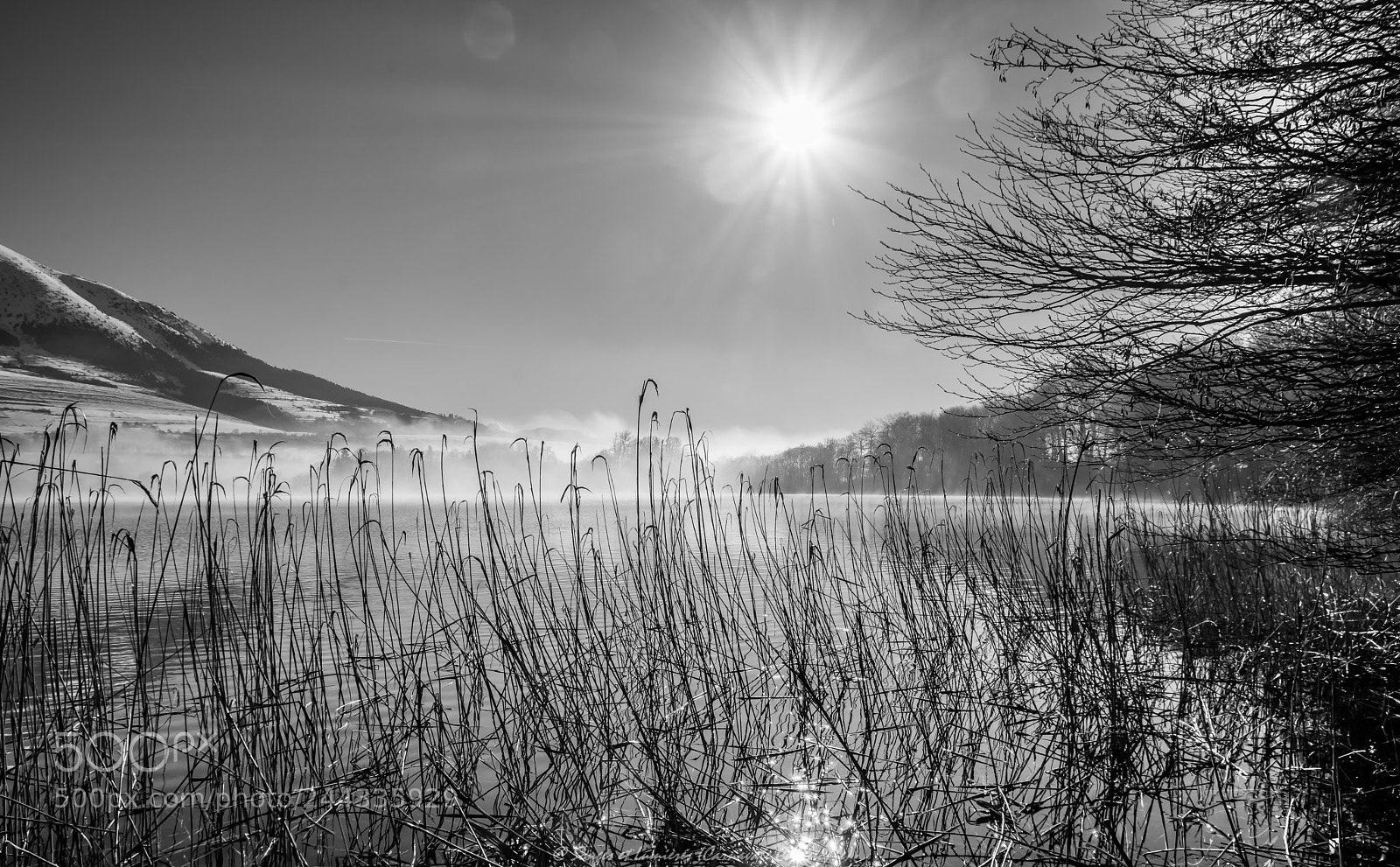 Nikon D7100 sample photo. Paysage hivernale photography