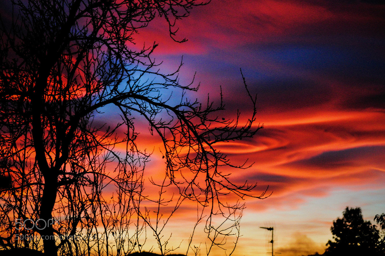 Nikon D5000 sample photo. Simply magical photography