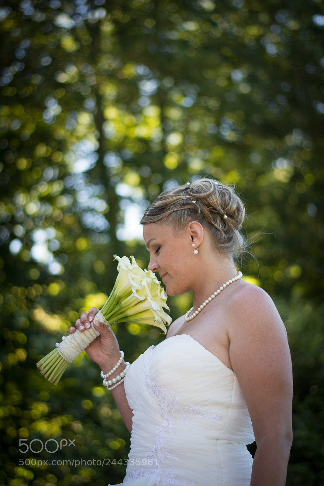 Nikon D7200 sample photo. _ntp8598-2.jpg photography