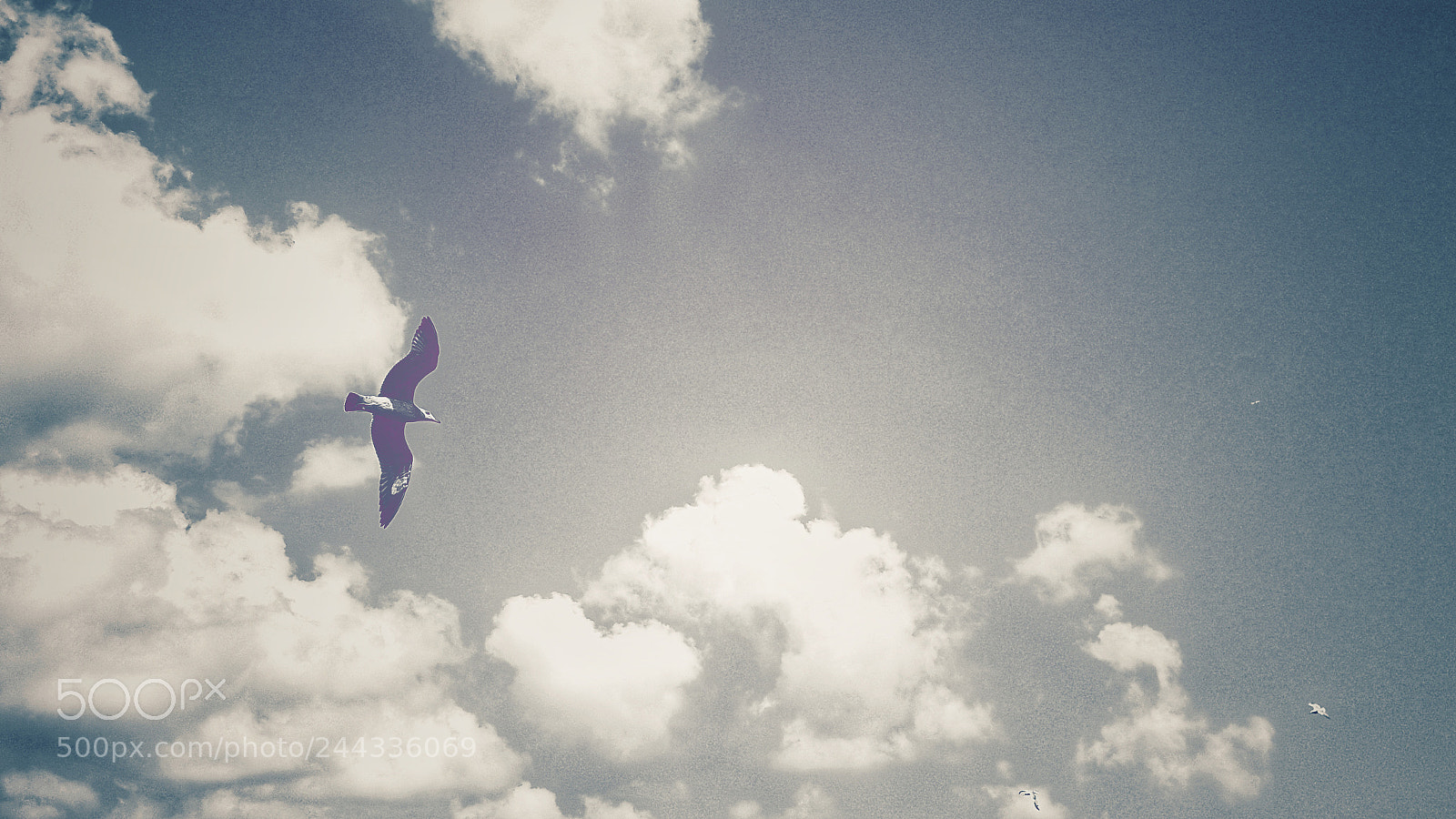 Samsung Galaxy S5 sample photo. Freedom photography