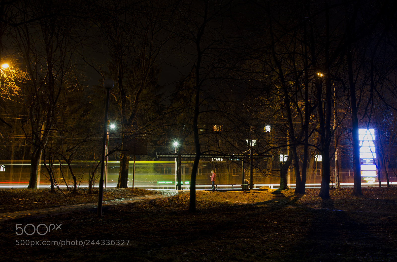 Nikon D5100 sample photo. Night photography