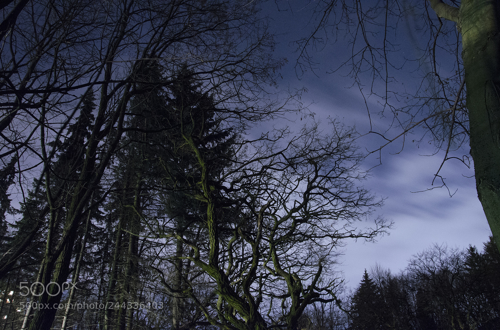Nikon D5100 sample photo. Ff photography