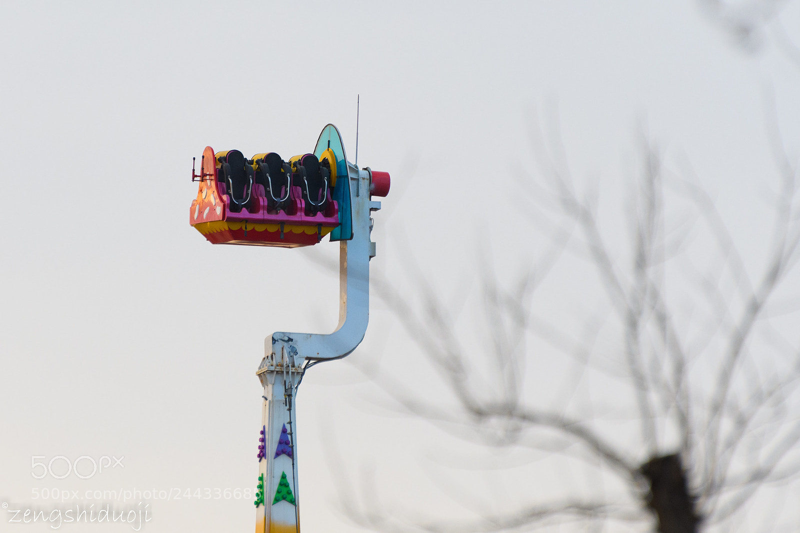 Nikon D500 sample photo. 冬歇期 photography