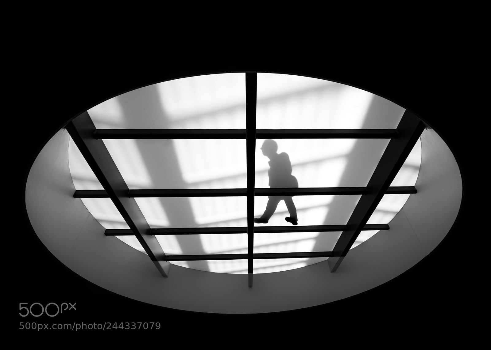 Nikon D610 sample photo. The stranger photography