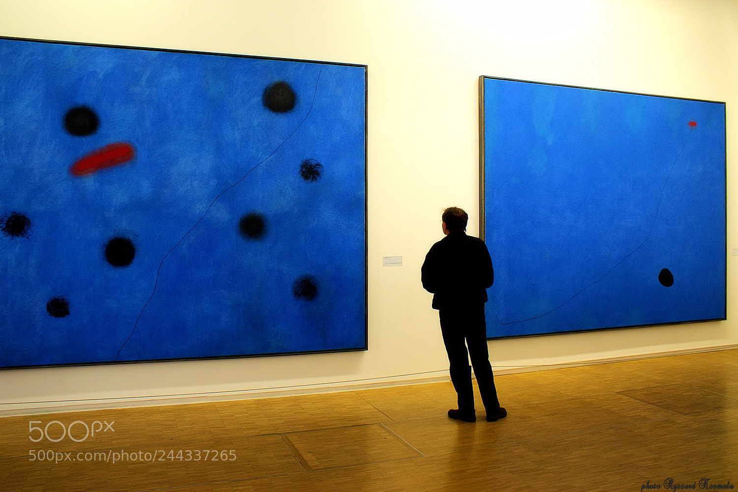 Sony Alpha DSLR-A300 sample photo. Contemplation of blue photography